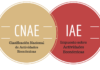 Equivalencia IAE con CNAE